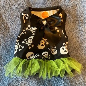 Doggy Halloween outfit